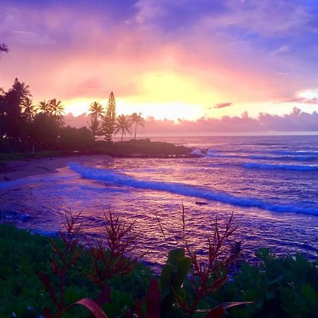 Lanikai Condos Kapa'a Buitenkant foto
