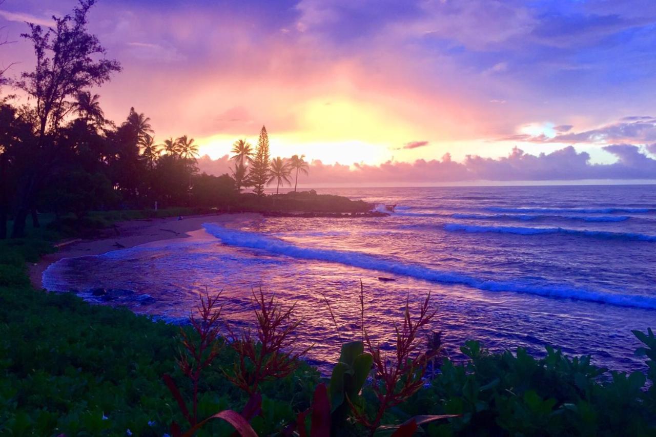 Lanikai Condos Kapa'a Buitenkant foto